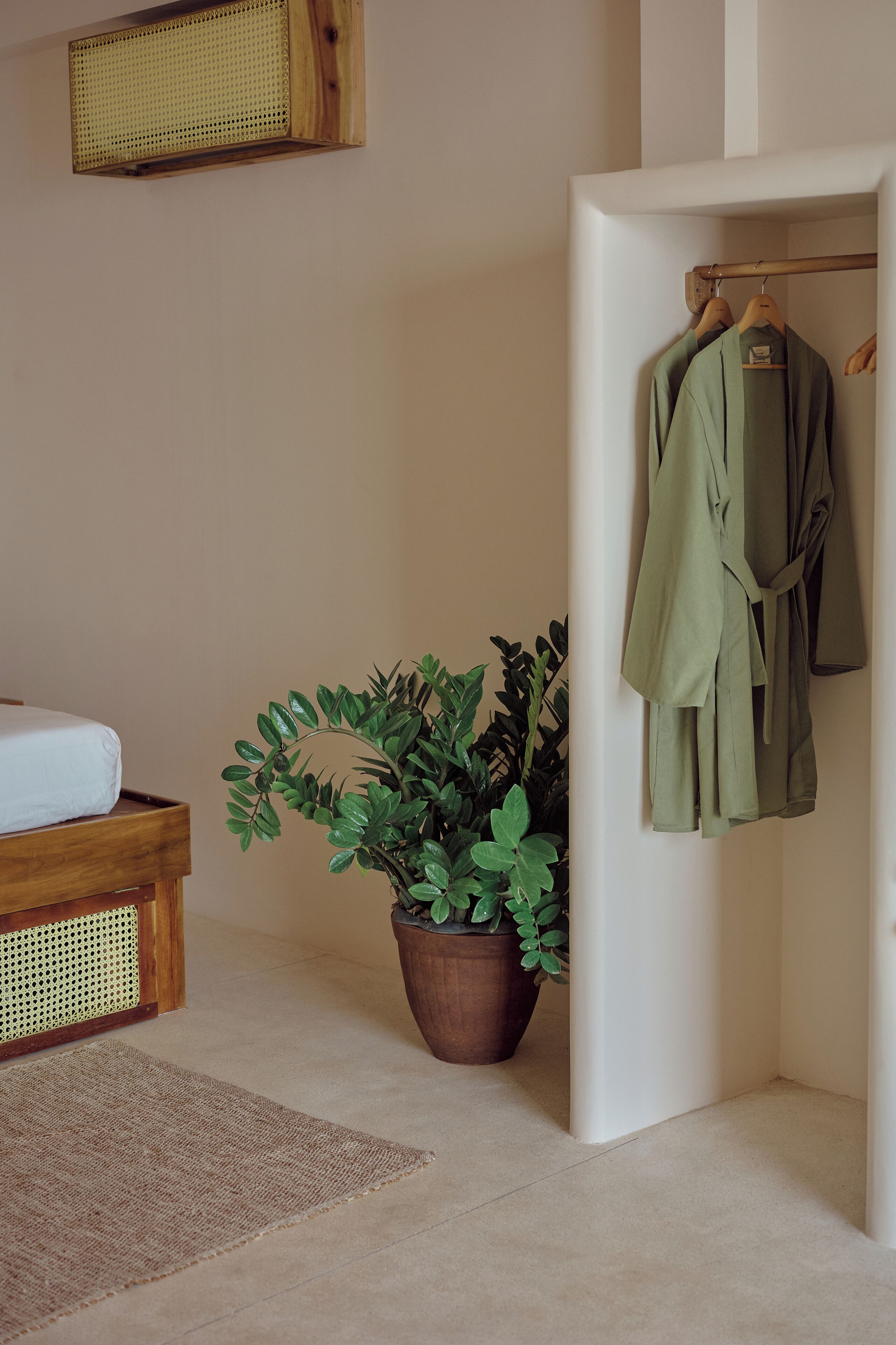 A room with a bed, a potted plant, a hanging robe, and a wooden headboard.