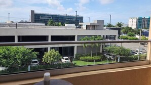 Vista desde la propiedad
