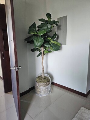 Apartment, 2 Bedrooms, Accessible, Balcony | Interior - "golden Triangle" Kingston Jamaica, West Indies (Kingston)