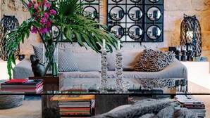 A living room with a sofa, a coffee table with books, a potted plant, and decorative mirrors on the wall.