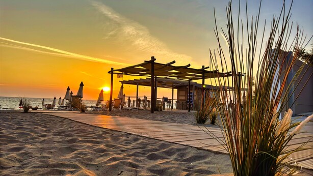 A beach with a wooden pergola, lounge chairs, and a small plant. - Csa Hotel Beach & Park (Bibbona)