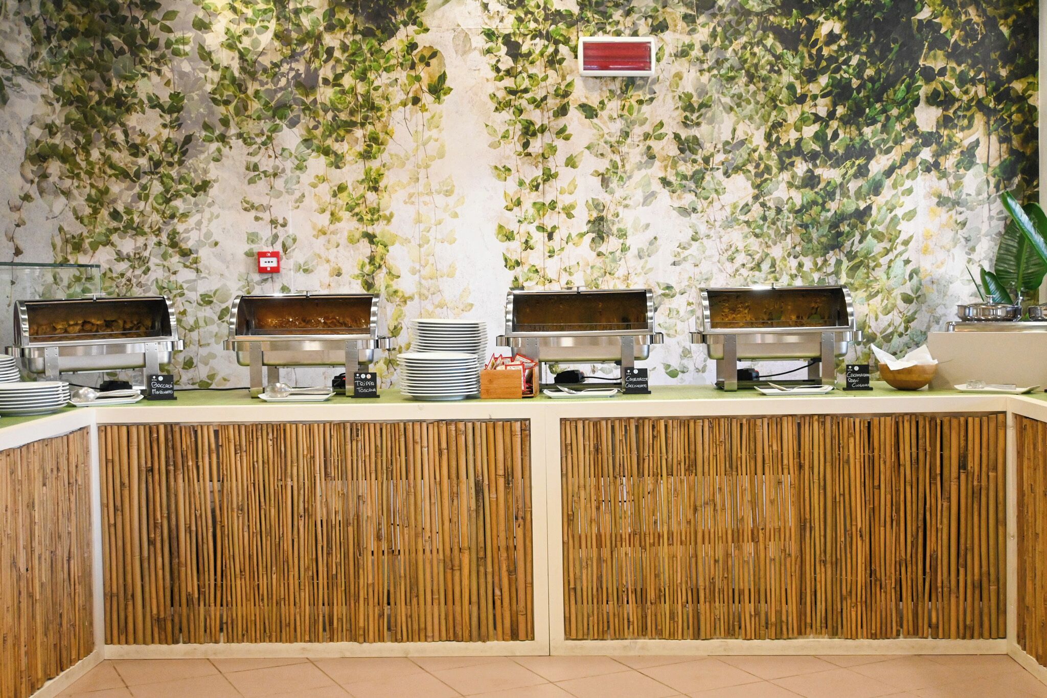 Un buffet composé de trois distributeurs de nourriture, de piles d’assiettes et d’une cloison en bambou.