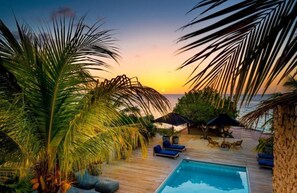 Pool - Luxury villa with private pool and private beach (Punt Vierkant)