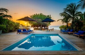 Pool - Luxury villa with private pool and private beach (Punt Vierkant)