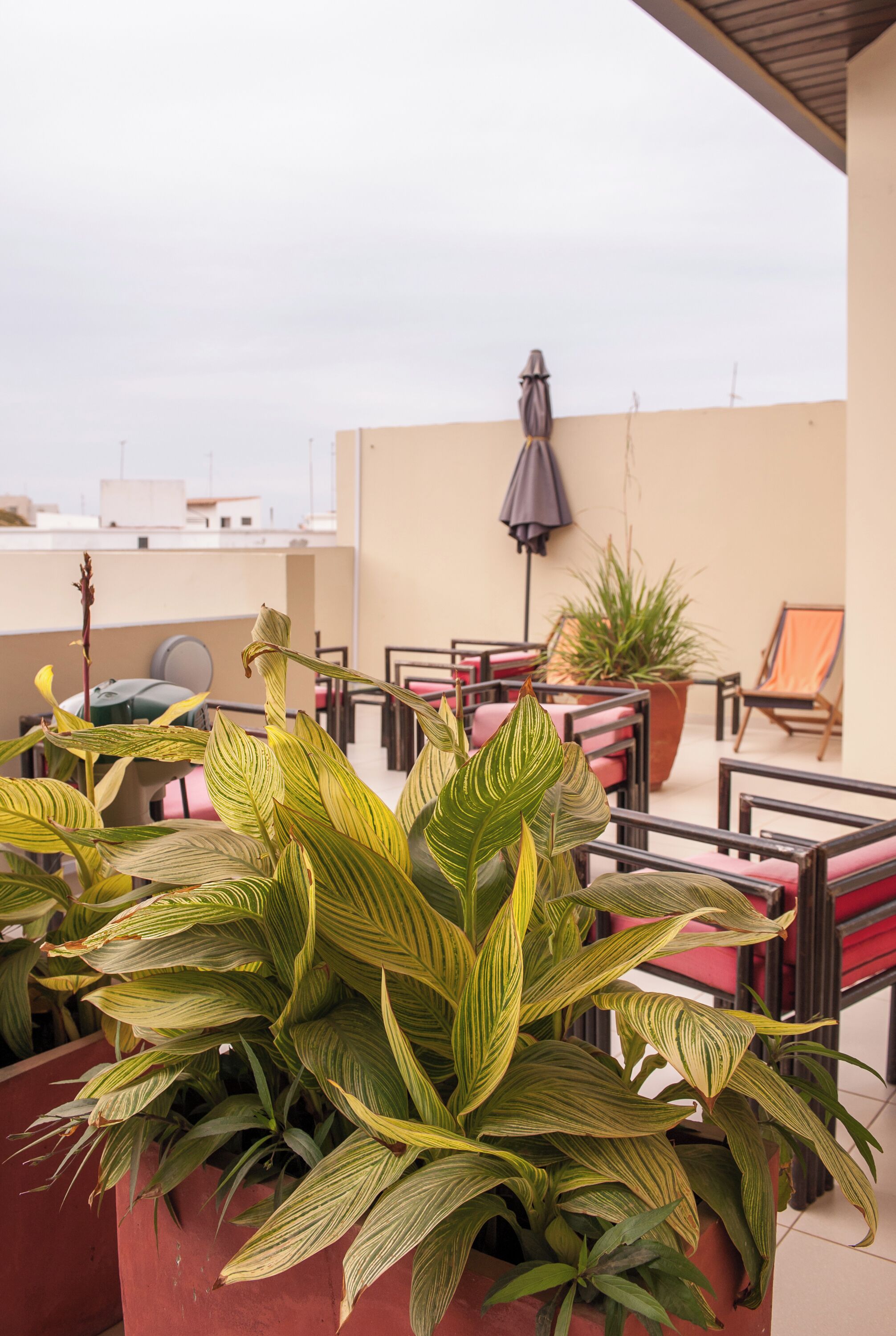 A rooftop terrace with potted plants, outdoor furniture, and a view of the cityscape.
