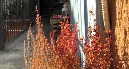 The House on the Balcony