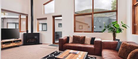 Televisión, chimenea y reproductor de DVD