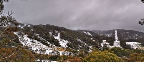 Eine gebirgige Landschaft mit schneebedeckten Hängen und dichtem Wald.