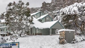 A two-story house with a snow-covered roof and surrounding trees.