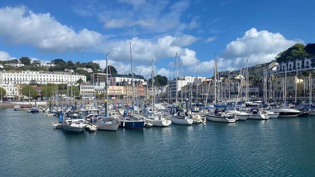 A marina with numerous boats docked, surrounded by buildings and a clear sky. - 4 Bed House-sleeps 8-parking-pets-marinaseaview (Torquay)