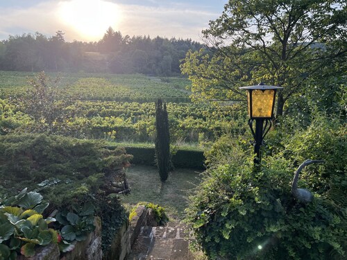 Gemütliche Ferienwohnung zwischen Wald und Weinbergen mit Terrasse und Garten