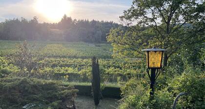 Gemütliche Ferienwohnung zwischen Wald und Weinbergen mit Terrasse und Garten