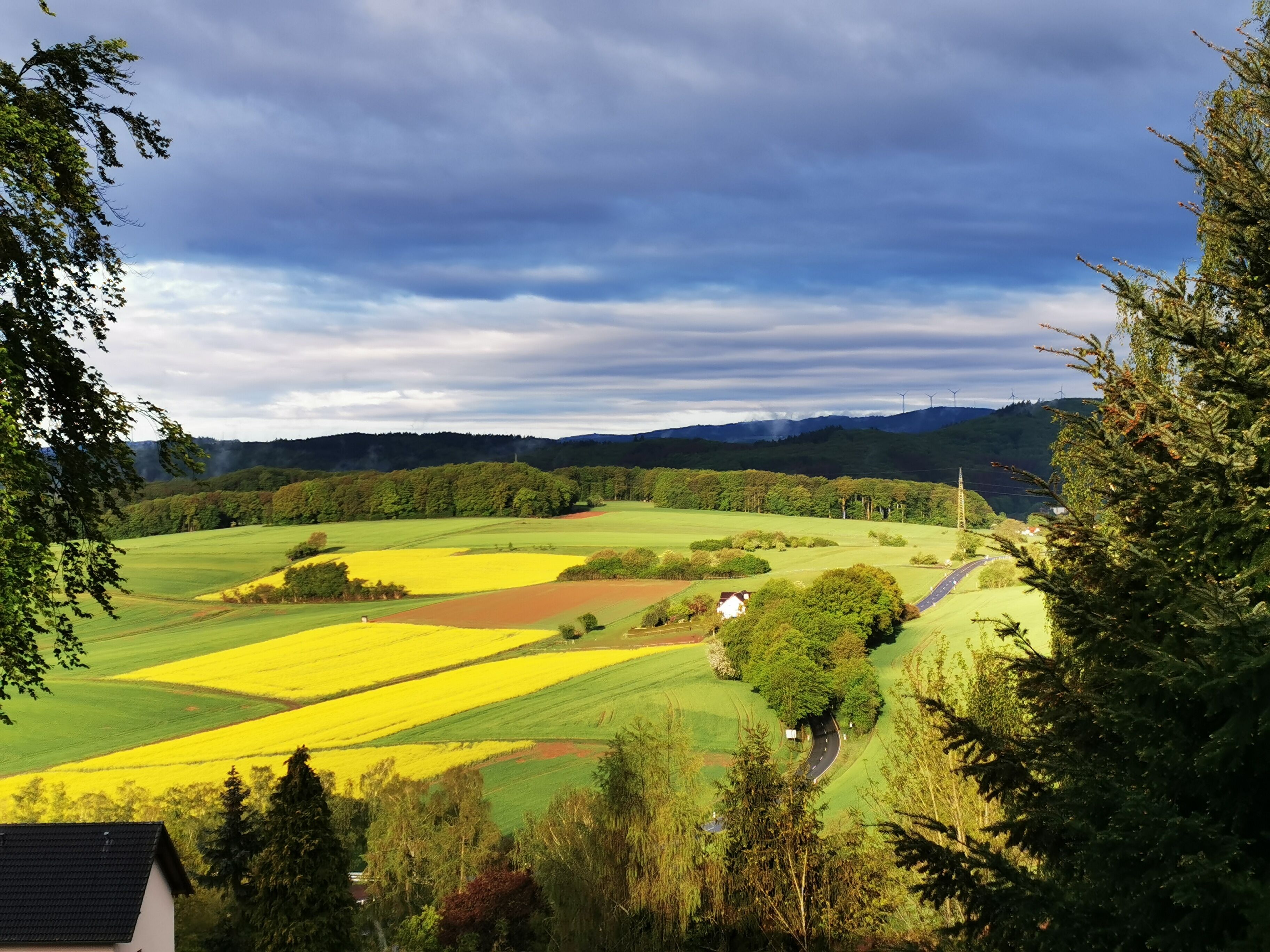 A rural landscape with fields, a road, and a house.