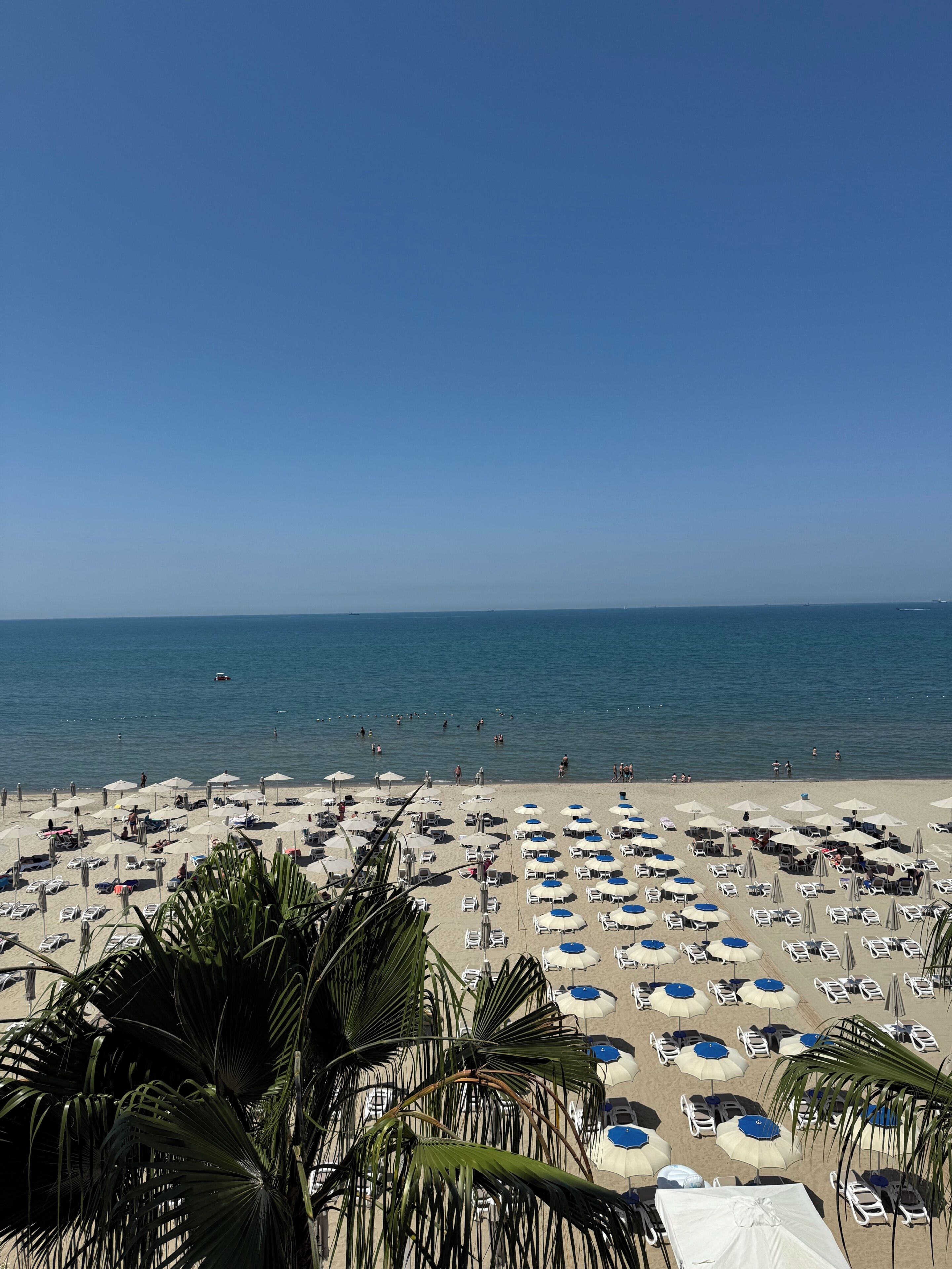 Foto - Adria Palace Hotel