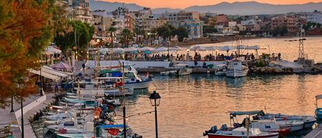 Marina