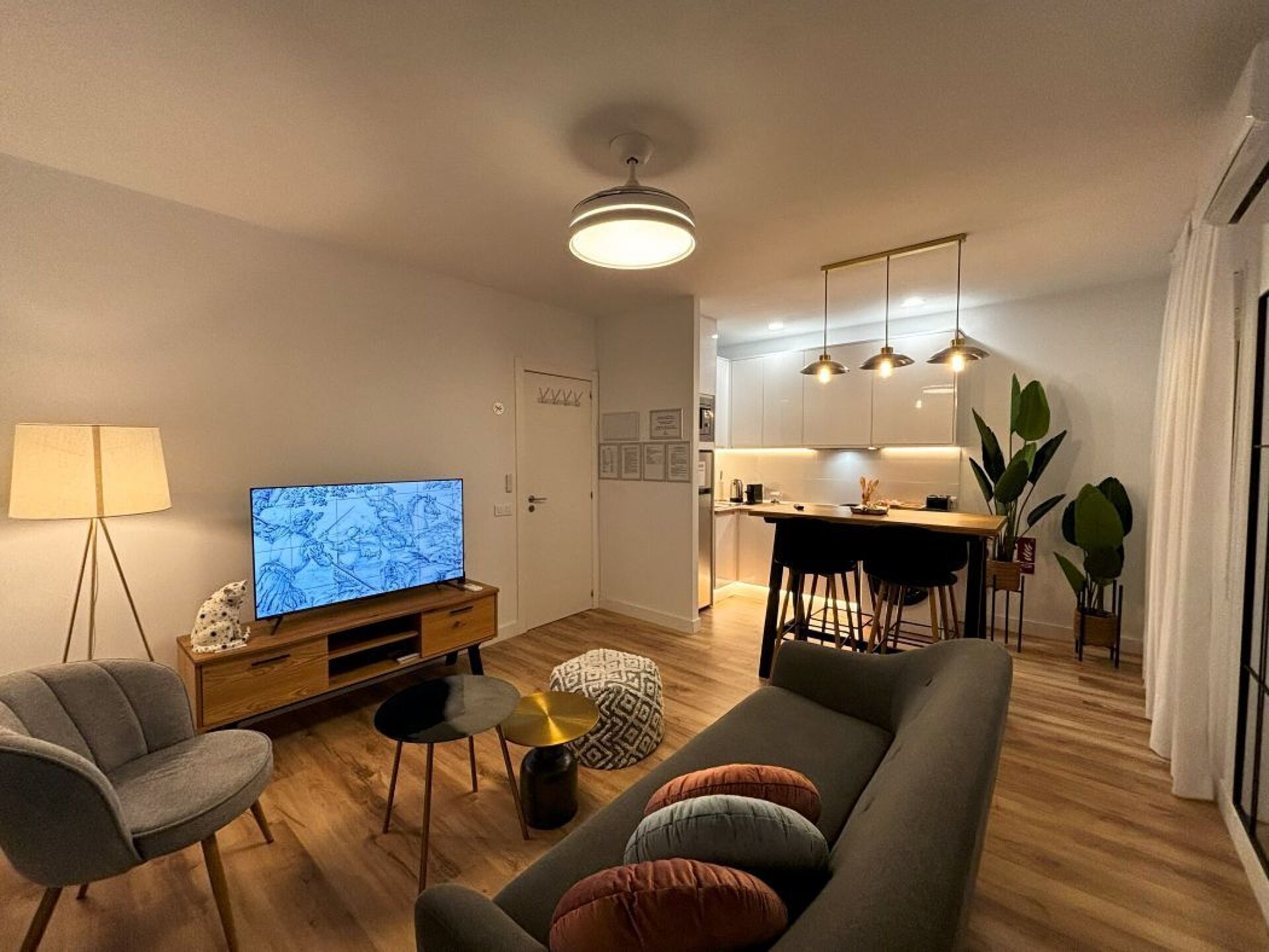 TV