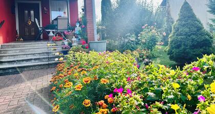 Ferienwohnung Nettelbeck- 2 SZ Ferienwohnung mit Zugang zum See