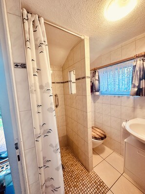 Shower, towels, soap, toilet paper