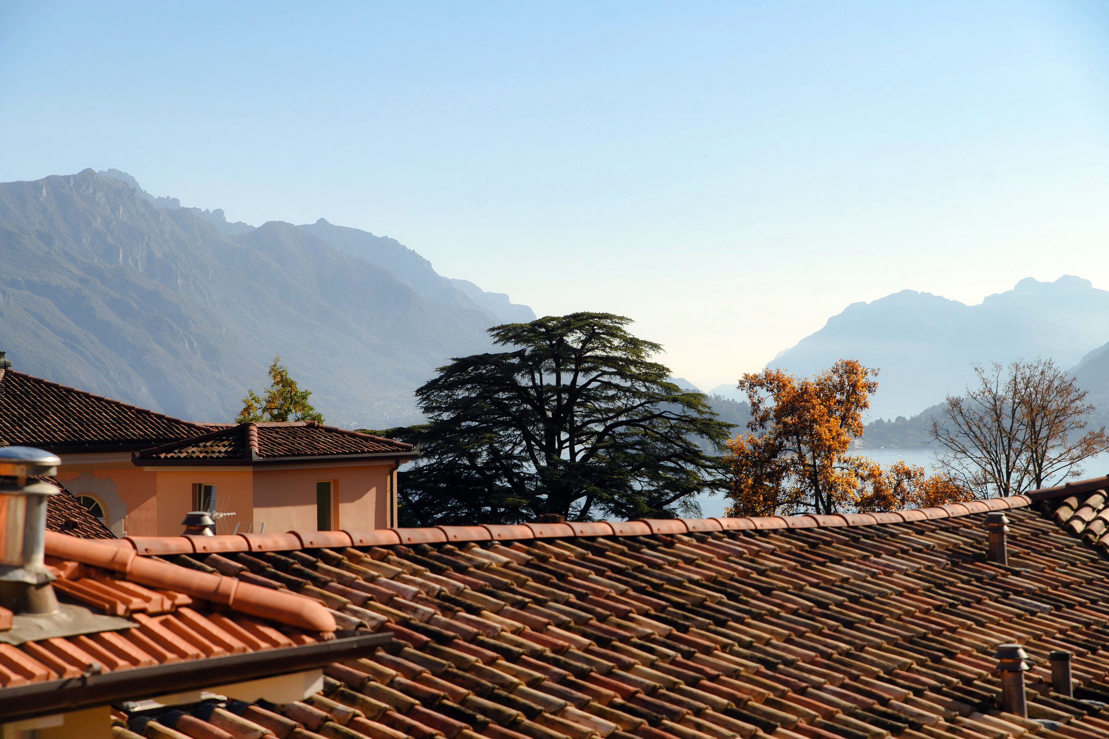 A traditional building with terracotta tiled roofs, a large tree in the foreground, and mountains in the background.