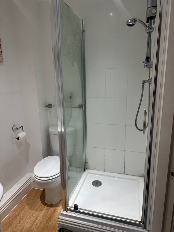 Un baño con ducha de vidrio, inodoro y un rollo de papel higiénico en la pared.