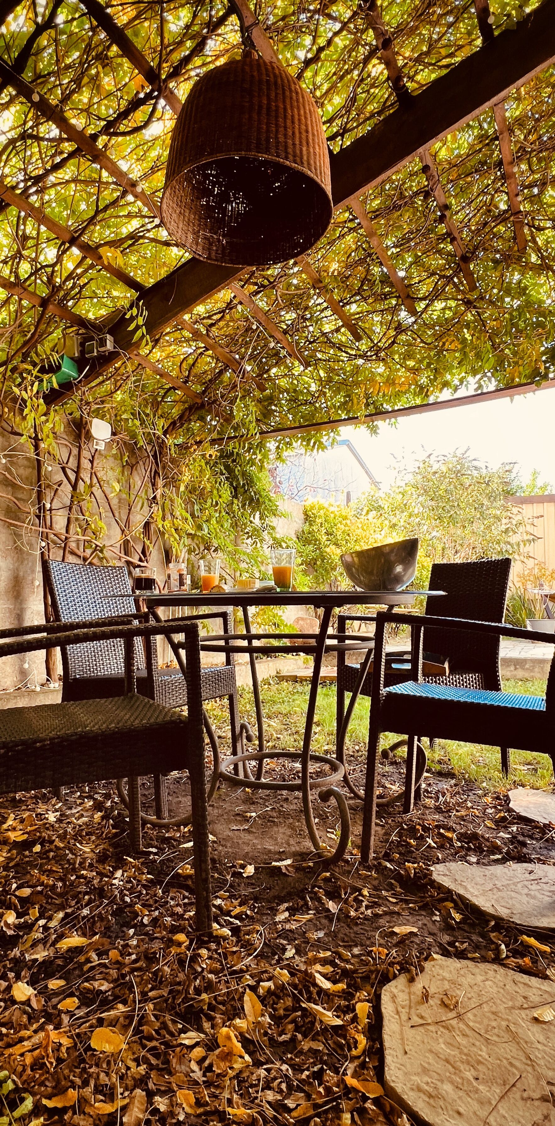 Un espace extérieur aménagé avec des chaises et une table en osier, entouré d’arbres et surmonté d’une pergola.