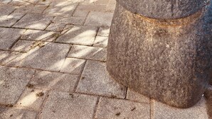 Uklassifisert bilde, 4 av 53, knapp