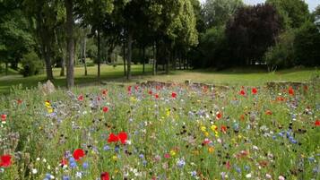 Un champ de fleurs sauvages avec des arbres en arrière-plan.