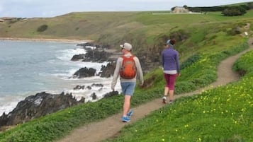 Two people walking on a coastal path with ocean views.