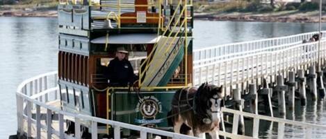 A stationary boat with a person and a dog on board, docked at a pier with a white railing.