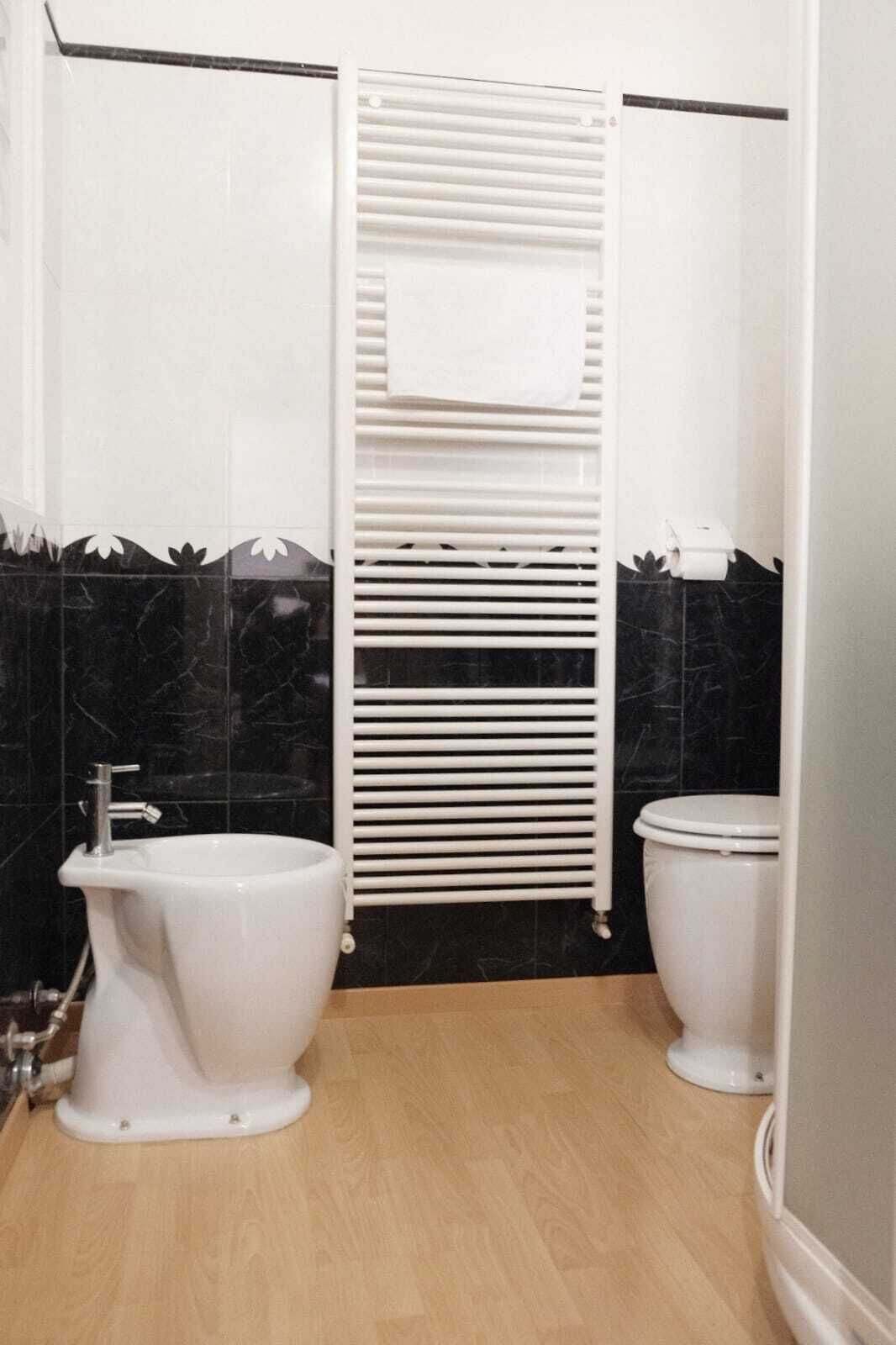 Haartrockner, Bidet, Handtücher, Seife