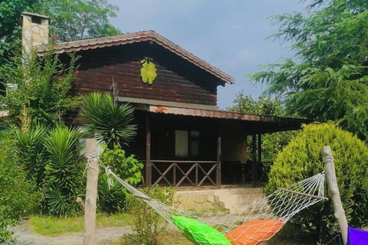 A rustic wooden house with a porch, surrounded by lush greenery and a hammock.