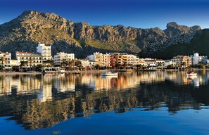 Unclassified image, 3 of 26, button