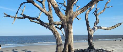 In Strandnähe, Liegestühle, Strandtücher