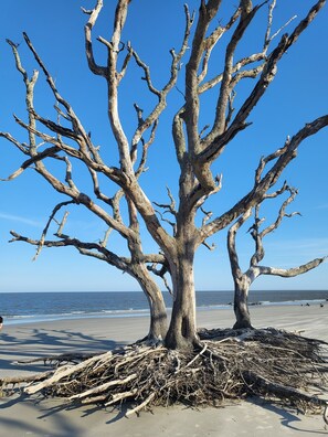 Beach nearby, sun-loungers, beach towels - Beautiful St Simons Island  2 bedroom Condo - A Magical, Peaceful Escape! (St. Simons Island)