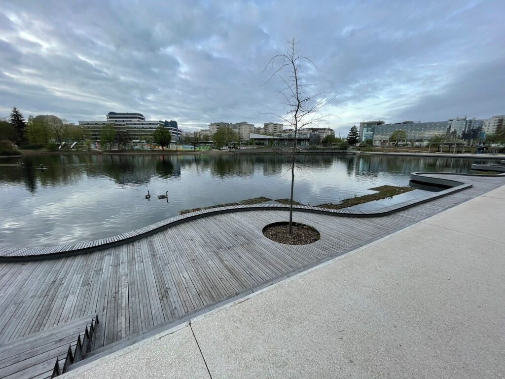 A waterfront park with a wooden boardwalk, a central tree, and a calm lake reflecting buildings in the background.