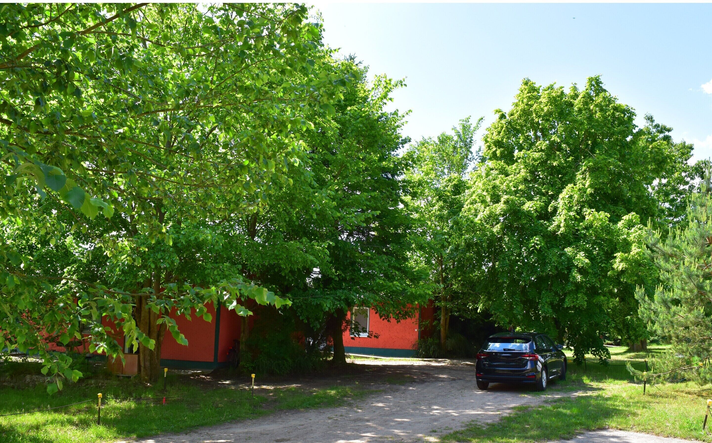House | View from property