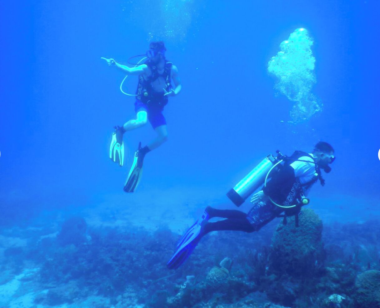 Dos buzos bajo el agua con equipo de buceo, rodeados de coral y vida marina.