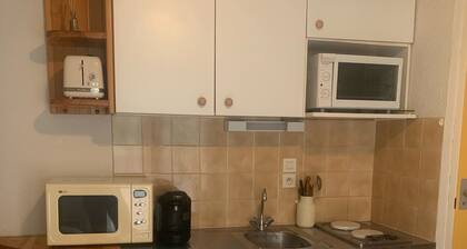 Apartment in valloire at the foot of the slopes