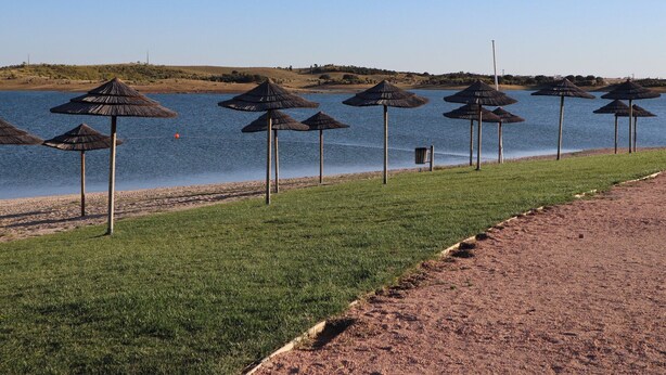 Una playa con hileras de sombrillas de paja y una zona verde junto a una masa de agua.