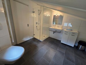 Shower, hair dryer, soap, toilet paper - Charming Louisa Roof in the Swiss mountains (Tavetsch)