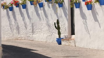 Pared blanca con macetas azules que contienen flores y un cactus.