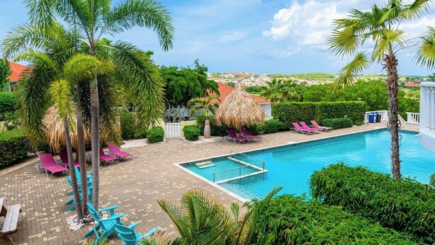 A swimming pool with lounge chairs and palm trees.