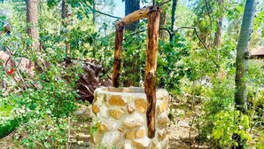 Un pozo de piedra con asideros de madera, rodeado de vegetación.