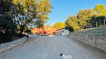 Áreas de la propiedad