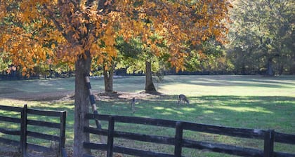 Charming three bedroom, two bathroom tranquil retreat just 2 miles from Wyndham.