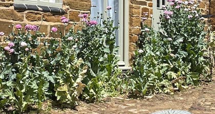 The Old Vicarage, Flore