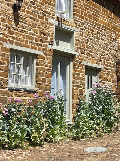 The Old Vicarage, Flore