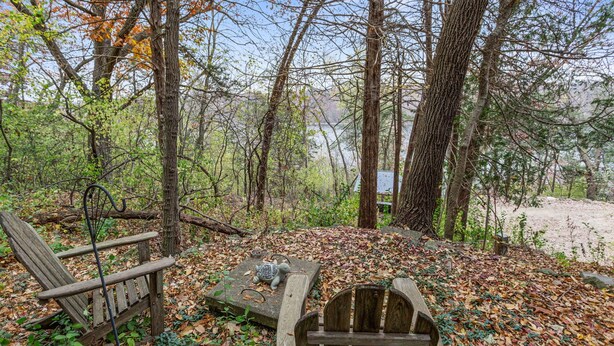 A wooden bench in a forested area with a stone sculpture on a flat surface. - Charming 1920's cottage in Afton up on bluff, river views! Swim, hike, explore! (Hastings)