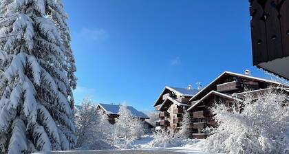 Beautiful mountain apartment for 6 people in Les Carroz d' Araches