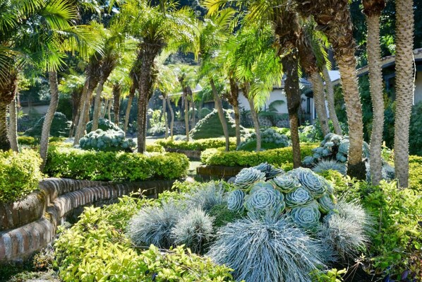 Property grounds - Casa Water Hawk Mayan inspired House Private Estate Avocado Farm (Antigua)